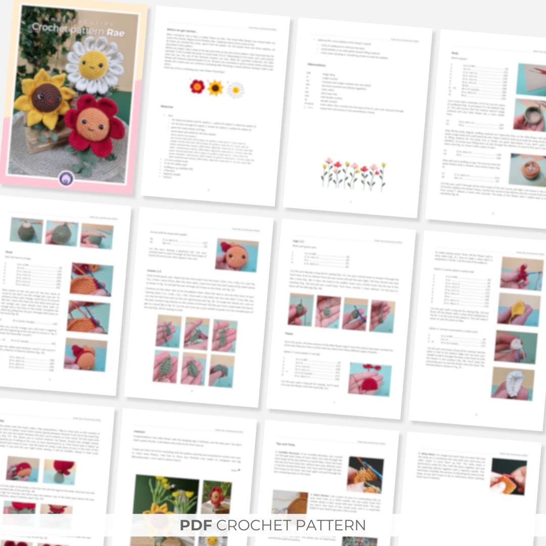 Flower Rae Crochet Pattern, PDF download, german and english